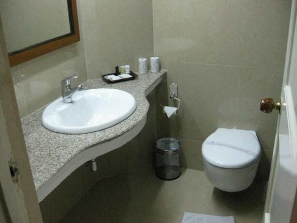 Imagen de la habitación del Hotel Paras Mahal. Foto 28