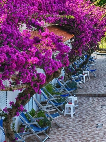 Imagen de la habitación del Hotel Parco Cartaromana. Foto 5