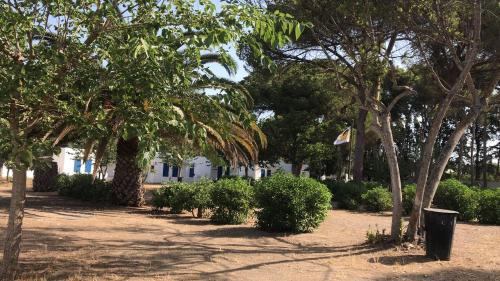 Imagen general del Hotel Parco Ibiza, by Camping San Antonio est 1961. Foto 16