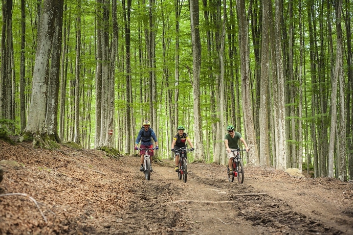 Imagen general del Hotel Parco dei Faggi - Monte Amiata. Foto 2