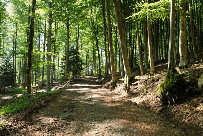 Imagen general del Hotel Parco dei Faggi - Monte Amiata. Foto 3