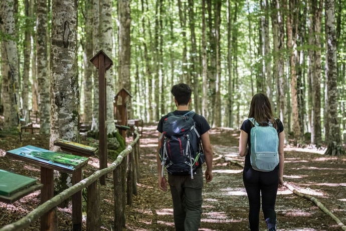 Imagen general del Hotel Parco dei Faggi - Monte Amiata. Foto 4