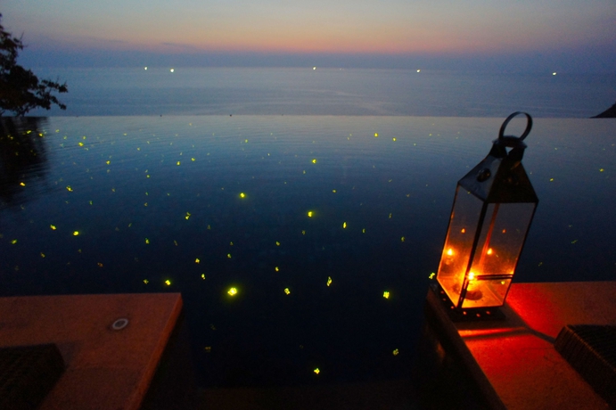 Imagen de la piscina del Hotel Paresa Resort Phuket. Foto 11