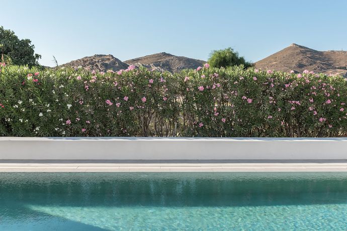 Imagen de la habitación del Hotel Parilio a Member of Designs. Foto 14