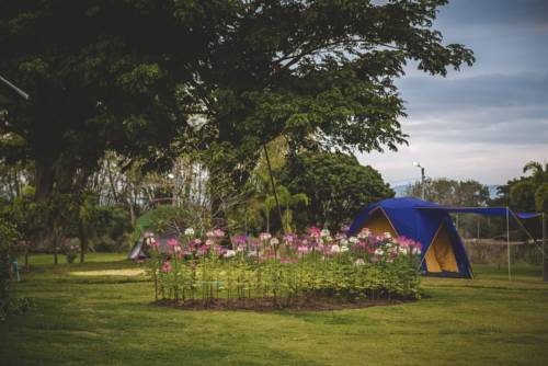 Imagen de la habitación del Hotel Parinda Garden Resort Spa & Yoga. Foto 13