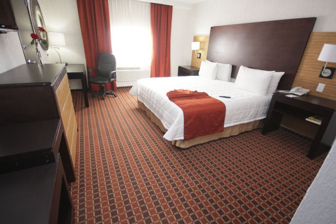Imagen de la habitación del Hotel Paris Fc. Foto 8