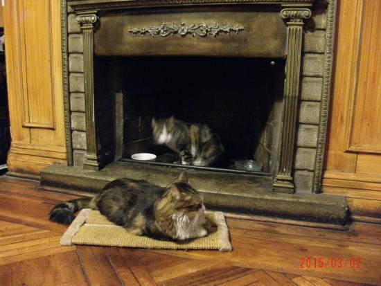 Imagen de los interiores del Hotel Paris Londres. Foto 7