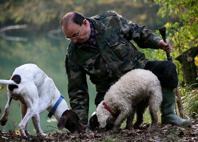 Imagen general del Hotel Park Ai Cappuccini. Foto 2