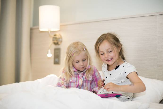 Imagen de la habitación del Hotel Park Alandia. Foto 9