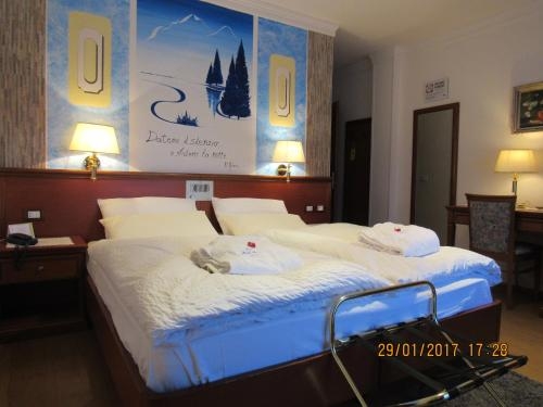 Imagen de la habitación del Hotel Park Arnica. Foto 8