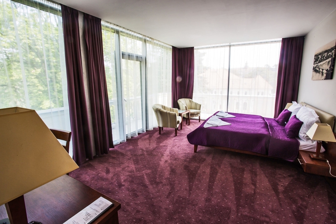 Imagen de la habitación del Hotel Park Avenue, Trnava. Foto 9