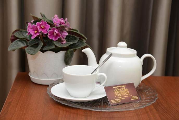 Imagen de la habitación del Hotel Park Bogorodsk. Foto 14
