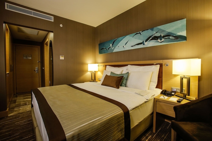 Imagen de la habitación del Hotel Park Dedeman Bostanci. Foto 6