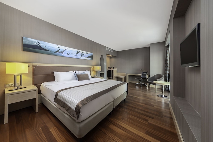 Imagen de la habitación del Hotel Park Dedeman Bostanci. Foto 7