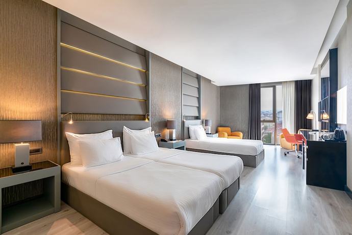 Imagen de la habitación del Hotel Park Dedeman Eskisehir. Foto 9