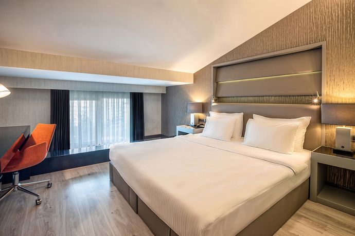 Imagen de la habitación del Hotel Park Dedeman Eskisehir. Foto 15