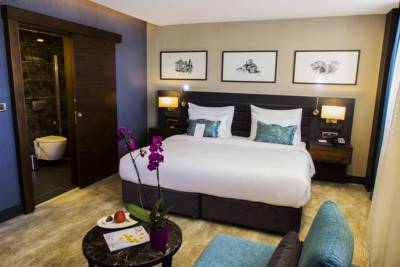 Imagen de la habitación del Hotel Park Dedeman Trabzon. Foto 3