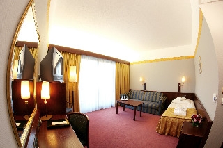 Imagen de la habitación del Hotel Park Diament Bielsko-Biała. Foto 11