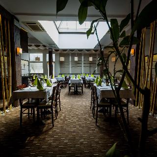 Imagen general del Hotel Park Diament Zabrze. Foto 37