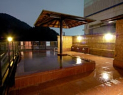Imagen de los interiores del Hotel Park, Gifu. Foto 8
