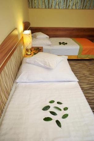 Imagen general del Hotel Park Gyula. Foto 3