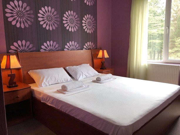 Imagen de la habitación del Hotel Park Hotel Imeri. Foto 6