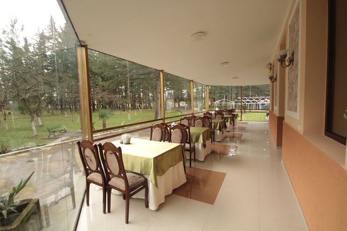 Imagen del bar/restaurante del Hotel Park Hotel Imeri. Foto 3