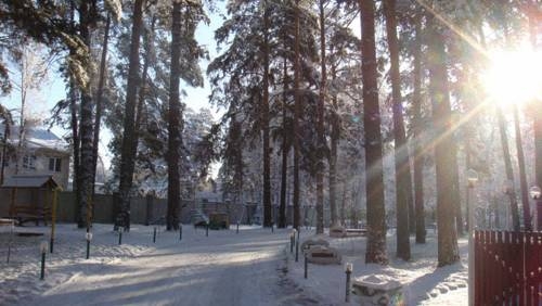 Imagen de la piscina del Hotel Park Hotel Lesnye Dali. Foto 11