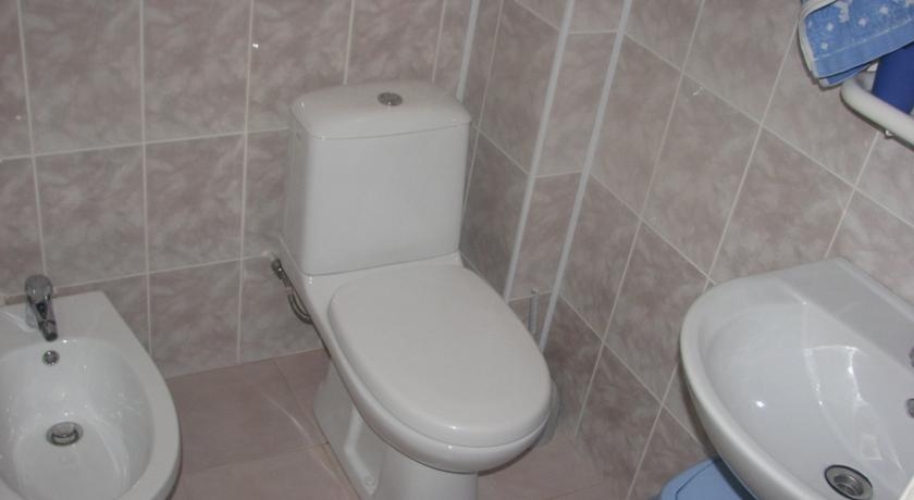 Imagen de la habitación del Hotel Park Hotel Lesnye Dali. Foto 8