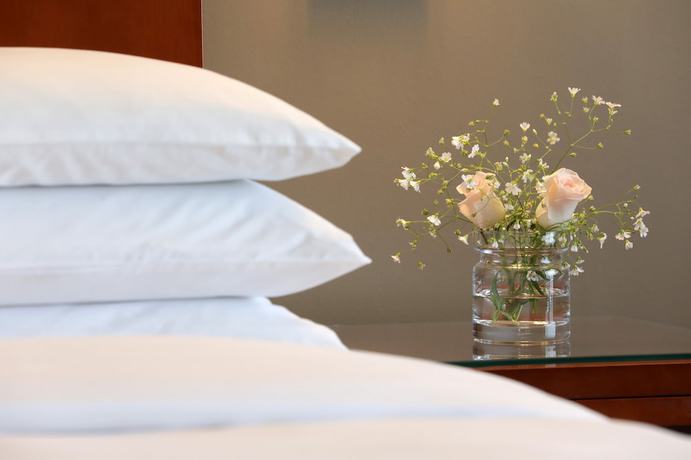 Imagen de la habitación del Hotel Park Hyatt Mendoza. Foto 9