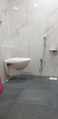 Imagen de la habitación del Hotel Park, Indore. Foto 15