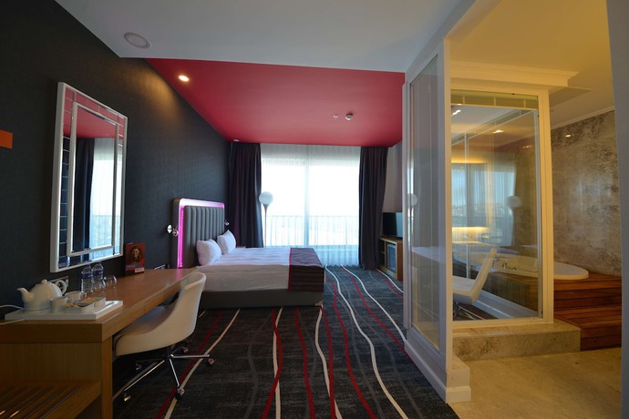 Imagen de la habitación del Hotel Park Inn By Radisson Ankara Cankaya. Foto 4