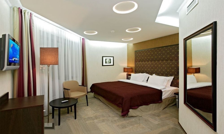 Imagen de la habitación del Hotel Park Inn By Radisson Sadu, Moscow. Foto 12
