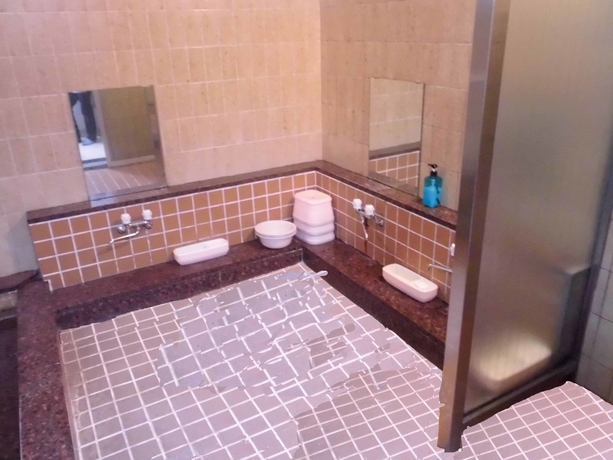 Imagen de la piscina del Hotel Park Inn, Osaka. Foto 15