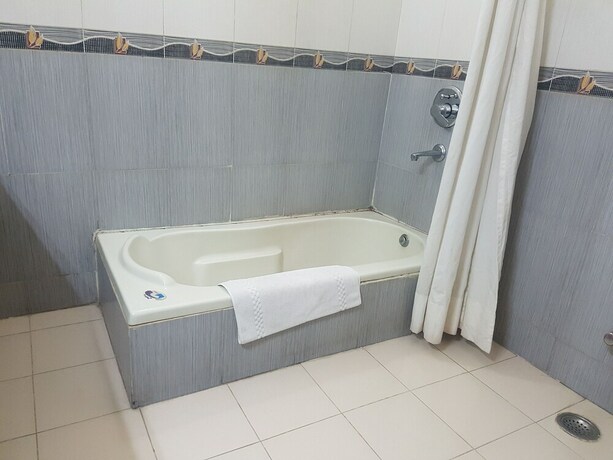 Imagen general del Hotel Park Inn, Parwanoo. Foto 2