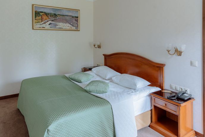 Imagen de la habitación del Hotel Park, Izhevsk. Foto 19