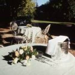 Imagen general del Hotel Park Le Sorgenti. Foto 6