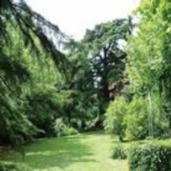 Imagen general del Hotel Park Le Sorgenti. Foto 10