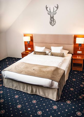 Imagen de la habitación del Hotel Park Lyson. Foto 5