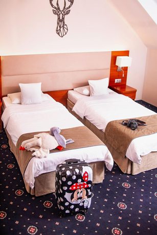 Imagen de la habitación del Hotel Park Lyson. Foto 9