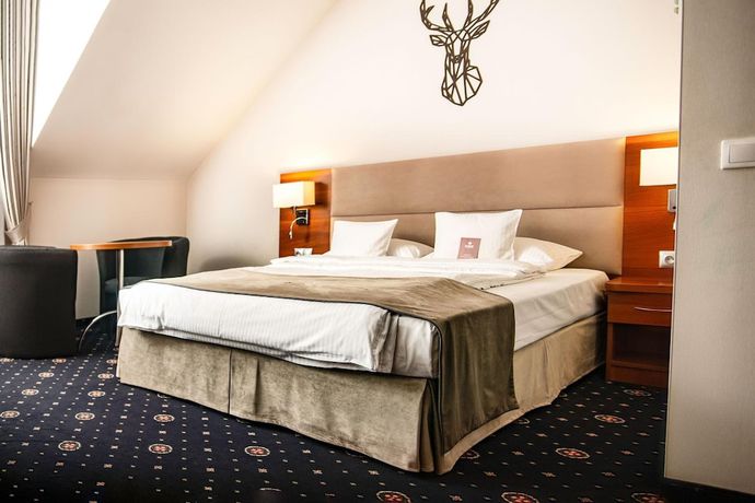 Imagen de la habitación del Hotel Park Lyson. Foto 11