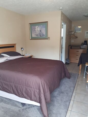 Imagen de la habitación del Hotel Park Motel, Hope. Foto 13