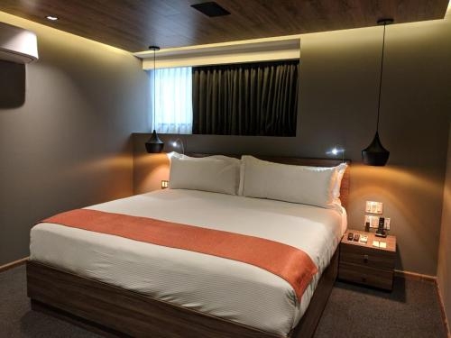 Imagen de la habitación del Hotel Park Nilo Reforma. Foto 6