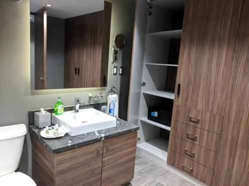 Imagen de la habitación del Hotel Park Nilo Reforma. Foto 8