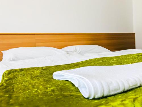 Imagen de la habitación del Hotel Park, Nyiregyhaza. Foto 9
