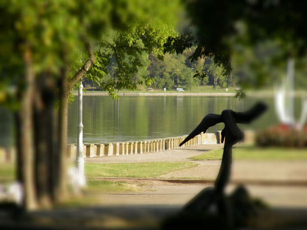 Imagen de los exteriores del Hotel Park, Palić. Foto 10