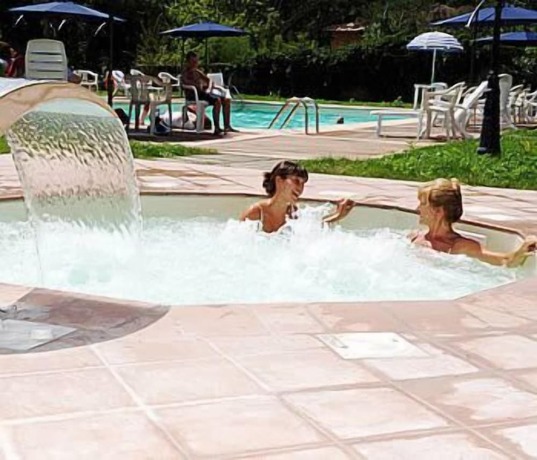 Imagen de la piscina del Hotel Park Regina. Foto 13