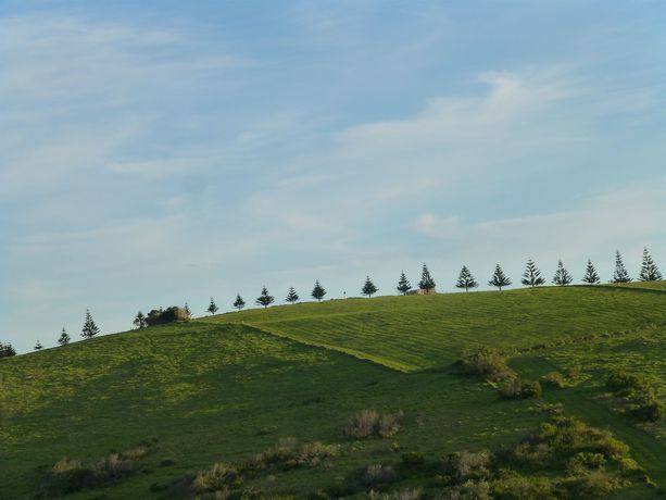 Imagen de los exteriores del Hotel Park Ridge Retreat. Foto 11
