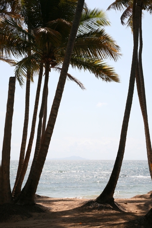 Imagen de los exteriores del Hotel Park Royal Homestay Club Cala Puerto Rico. Foto 13