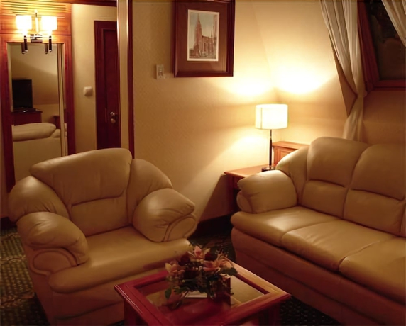Imagen de la habitación del Hotel Park, SZCZECIN. Foto 11